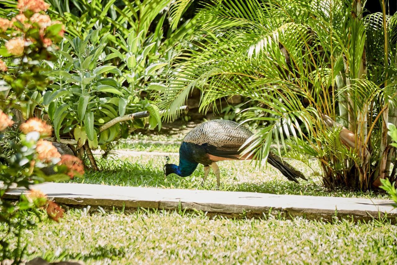 Villa Lu Amazon Ecolodge Tarapoto Exteriér fotografie